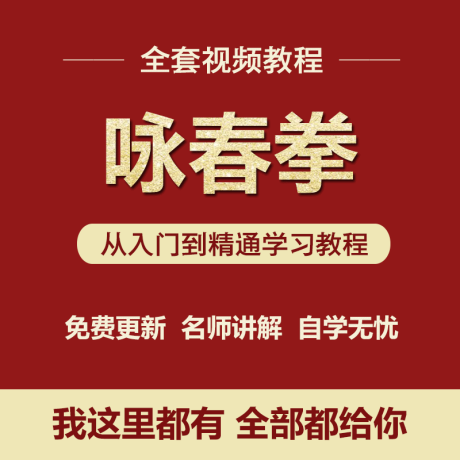 K048-咏春拳视频教程武术基本功实战全套入门自学零基础学习教程视频