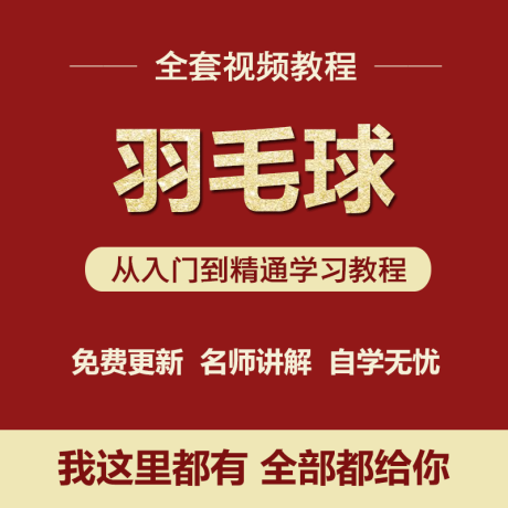 K043-羽毛球视频教程学入门自学打羽毛球运动教学课程训练分级战术合集