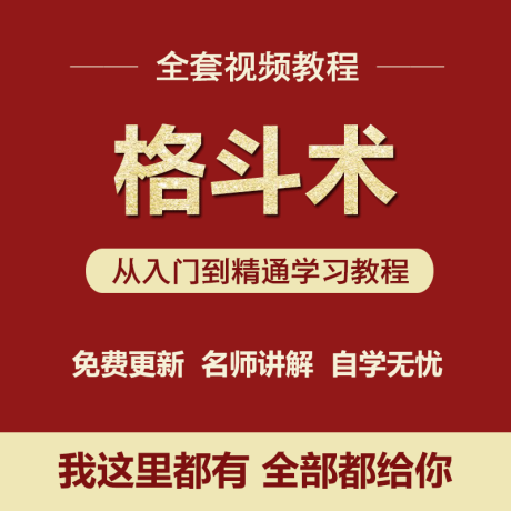 K017-散打视频自学学习教程格斗术教学视频培训街头防身术武术入门资料