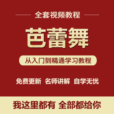 K012-正规芭蕾舞基本功教程芭蕾形体课程训练视频资料舞蹈教学教程