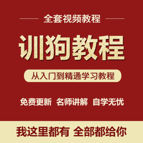 K007-训狗视频自学教程训犬泰迪金毛拉布拉多狗狗专业训练咬手扑人纠正