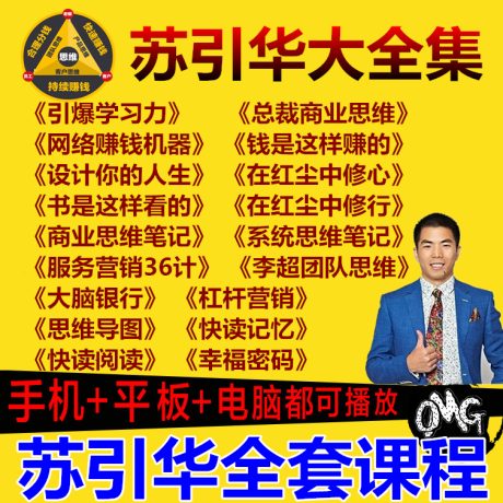 K002-大脑银行苏引华薪与酬经与营框架系统红尘商业思维导图视频全集