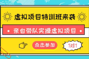 虚拟项目招募：亲自带队实操虚拟项目，一对一指导操作