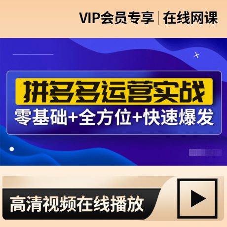 拼多多高级运营课程_【爆款】拼多多运营实战精品系列课
